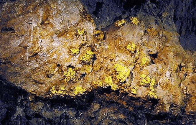 全球最“尴尬”的金矿，满地黄金无人挖，淘金者：傻子才挖