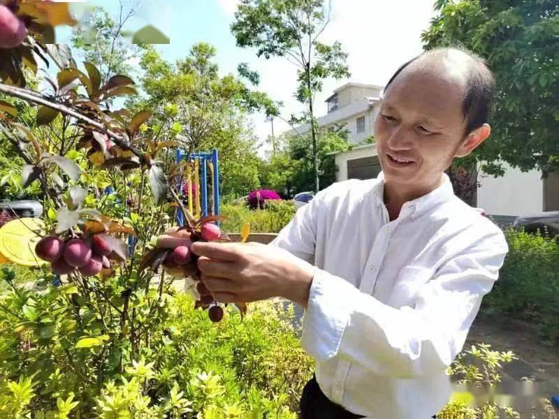 【书香祥云】打工的双亲