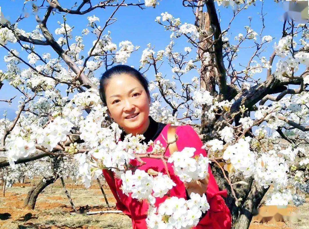 【书香祥云】小城花语