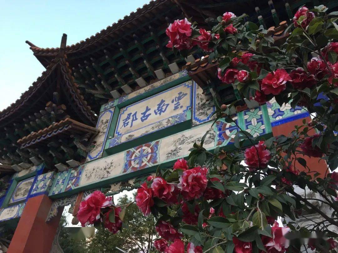【书香祥云】小城花语