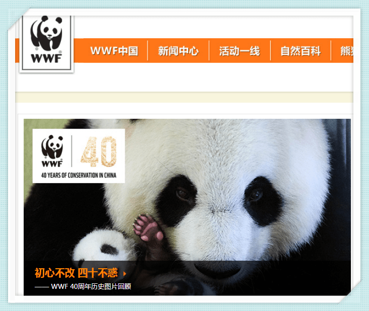 成为世界自然基金会Logo、有专门的金币系列，大熊猫的上位史