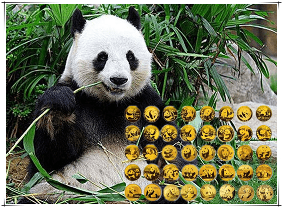 成为世界自然基金会Logo、有专门的金币系列，大熊猫的上位史