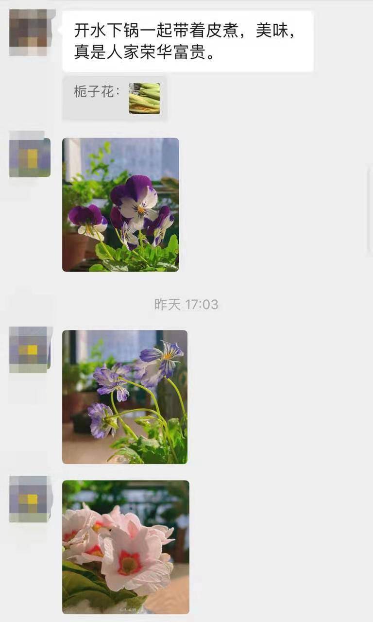 花友交流群，你加我，我拉你！一起交流养花！