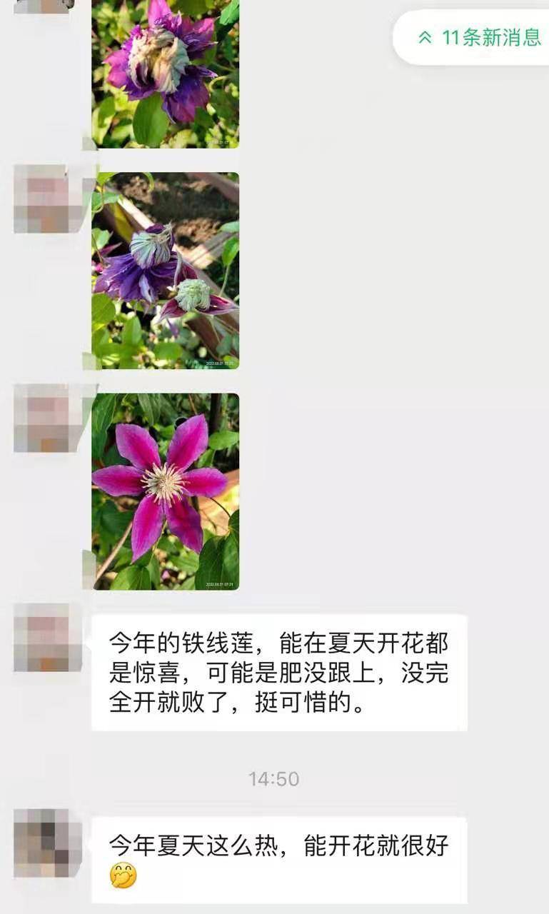 花友交流群，你加我，我拉你！一起交流养花！