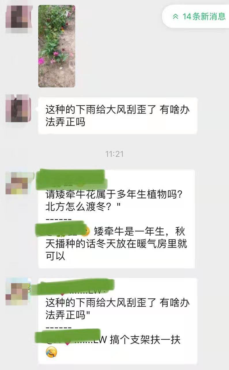 花友交流群，你加我，我拉你！一起交流养花！
