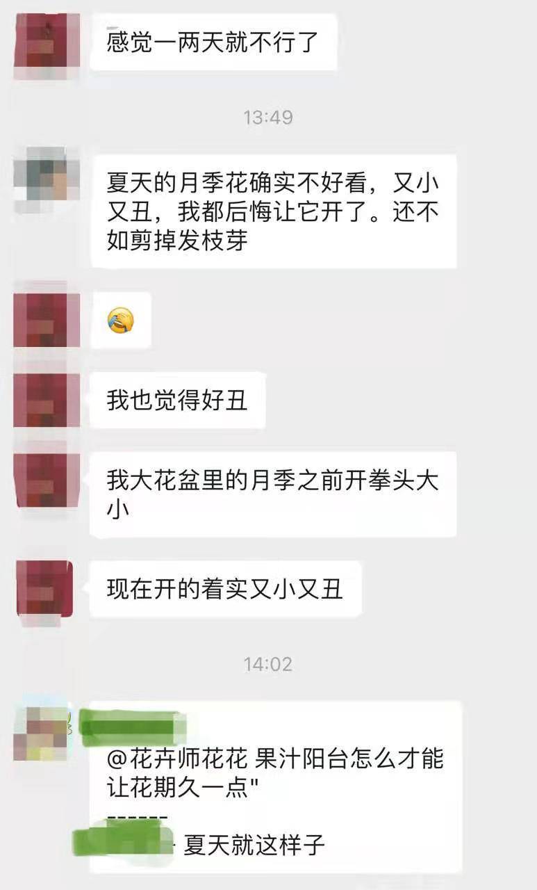 花友交流群，你加我，我拉你！一起交流养花！