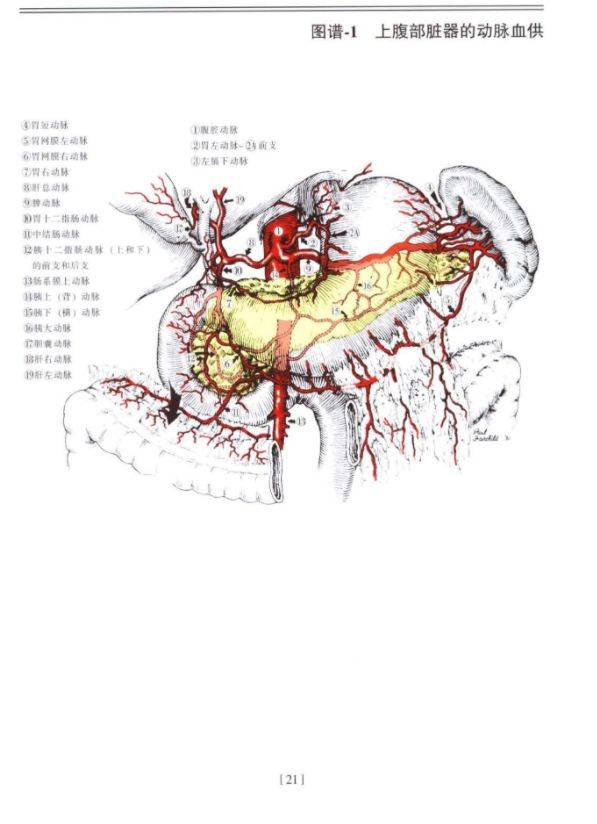 外科必备权威书籍：佐林格外科手术图谱！