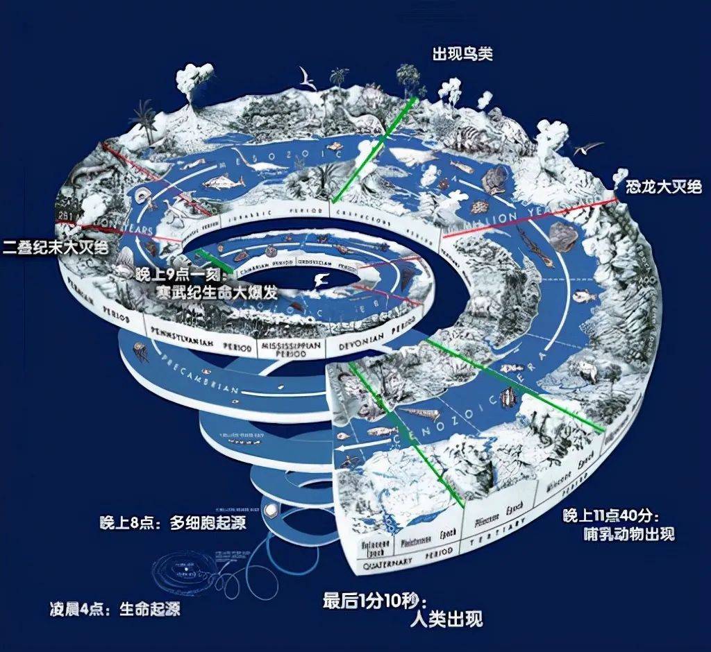 AI行情如何调整？下一轮投资机会什么方向？