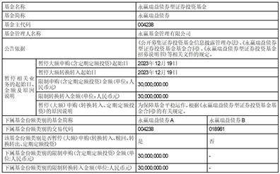 永赢轩益债券型证券投资基金 暂停接受个人投资者申购业务的公告
