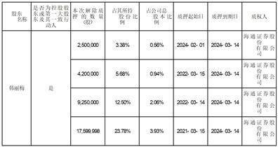 证券代码：002838 证券简称：道恩股份 公告编号：2024-027 债券代码：128117 债券简称：道恩转债