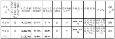 证券代码：002838 证券简称：道恩股份 公告编号：2024-027 债券代码：128117 债券简称：道恩转债