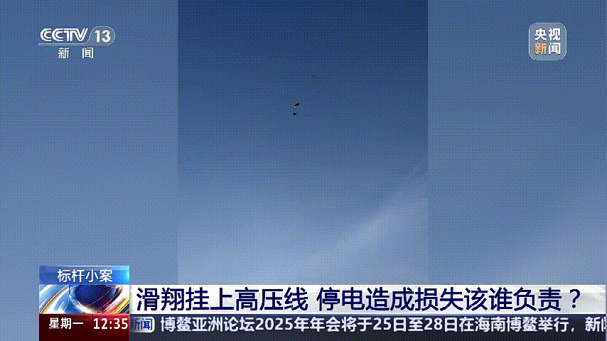 深圳女子被挂高压线!停电救援,9池鱼死光!他怒上法庭……