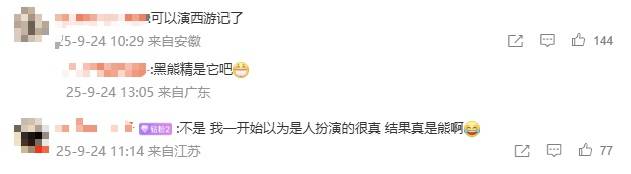 安徽一动物园黑熊披袈裟站立引游客质疑，工作人员：是真熊，人工饲养易出现仿人行为