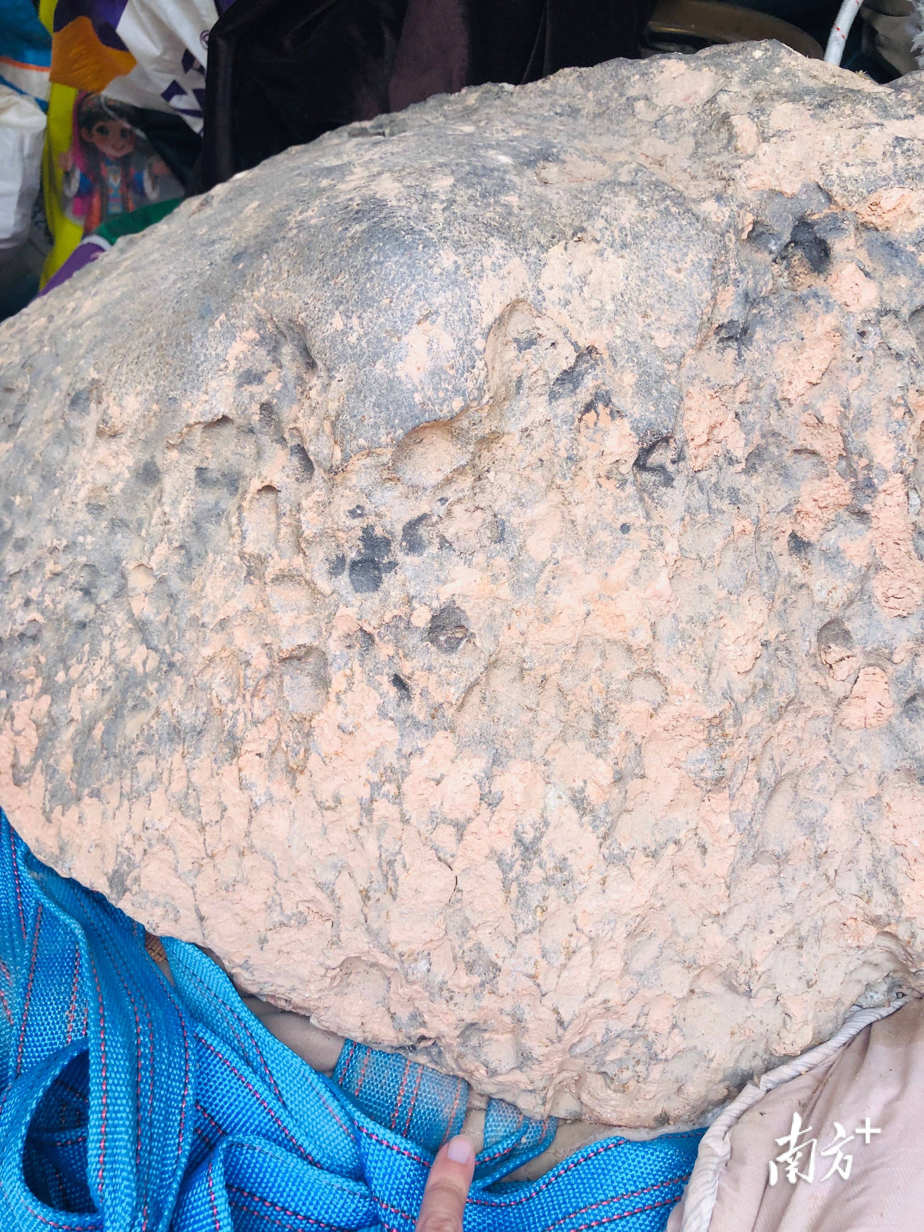 423公斤陨石在茂名电白挖出,系国内目击降落第二大单体陨石