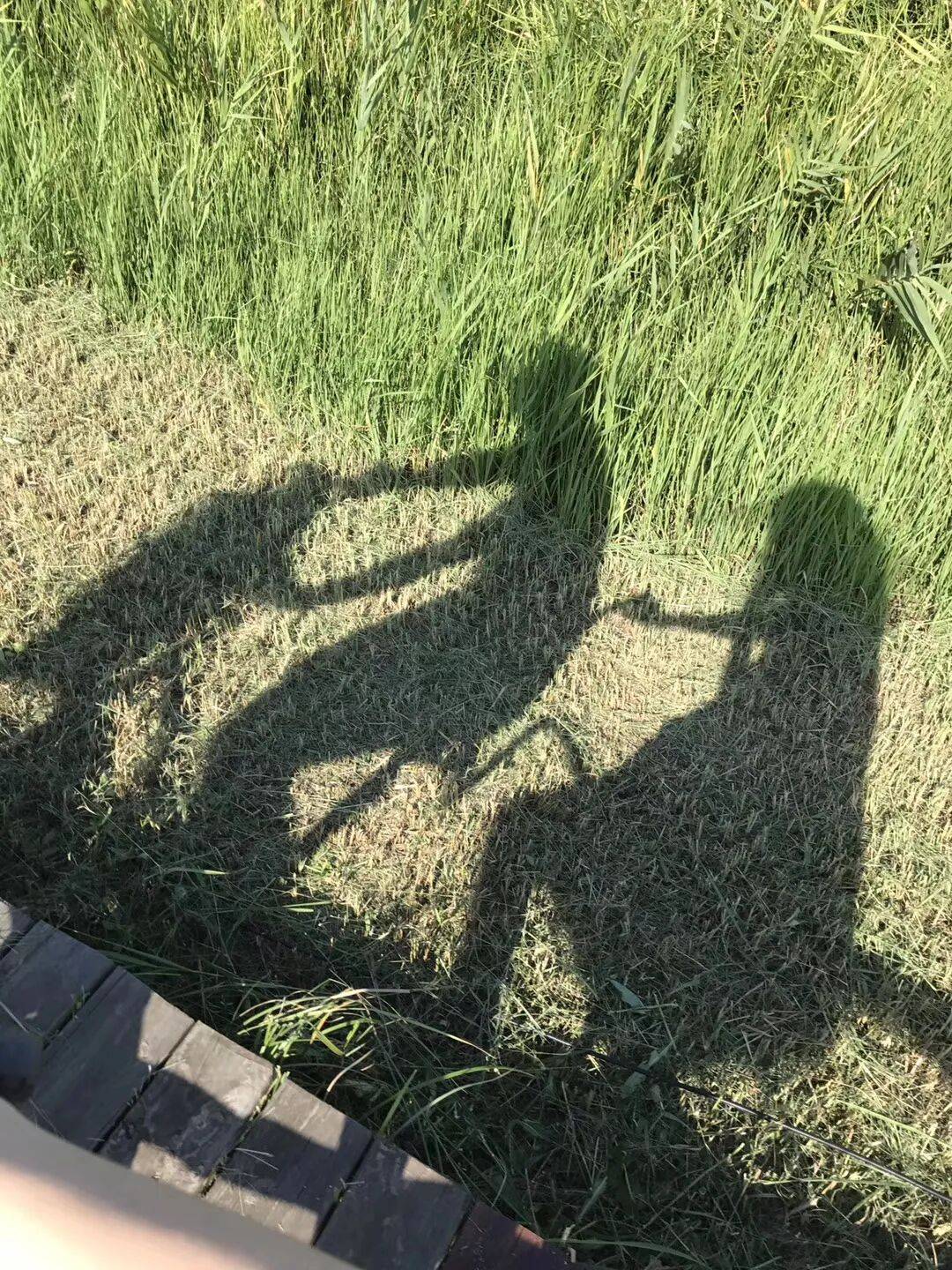 纸质火车票退场,每道折痕里都藏着远方、爱情与山河记忆