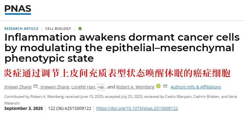 长期炎症会“唤醒”癌细胞!这份抗炎指南每个人都该看看