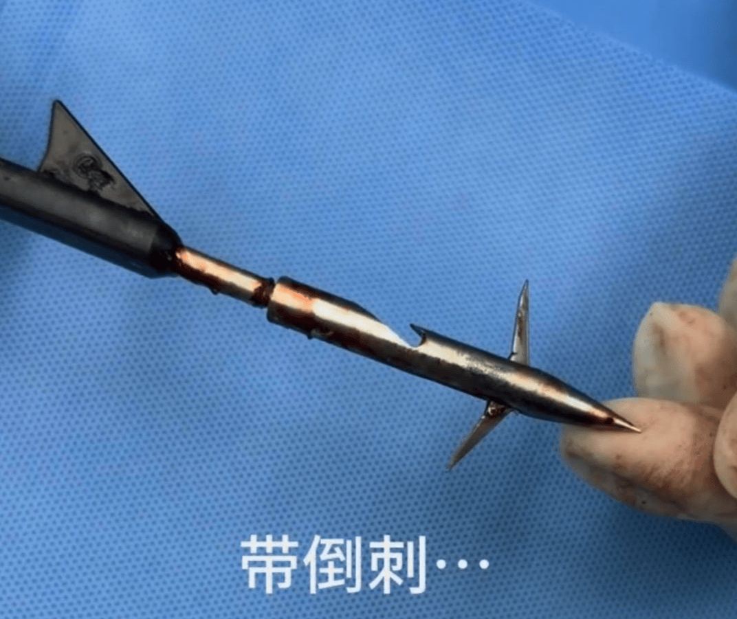 教育局回应“一教师用弓箭射杀小狗”:不实,小狗进学校前就被射伤