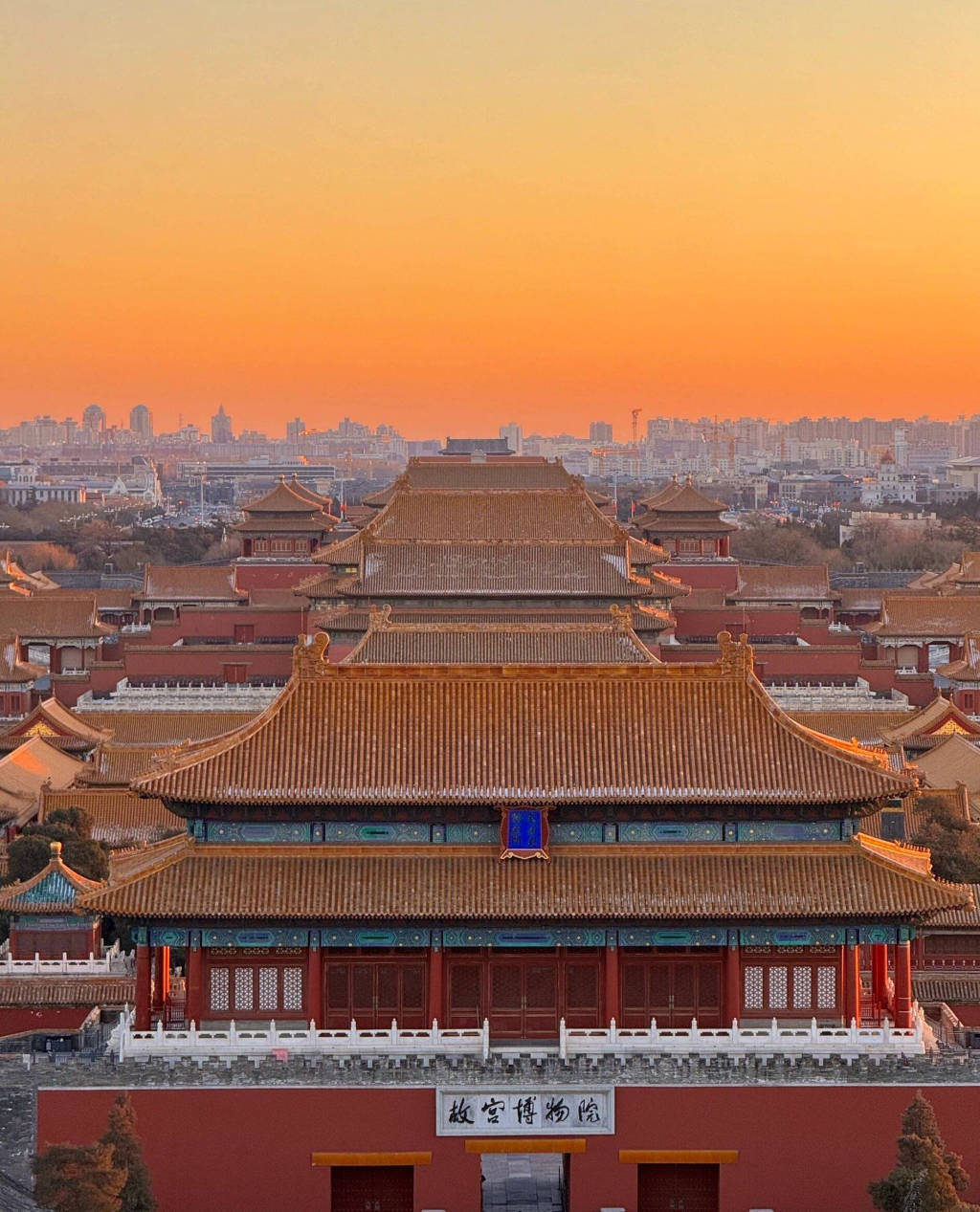 今天是故宫博物院百岁生日，让我们回顾她这一百年的史诗