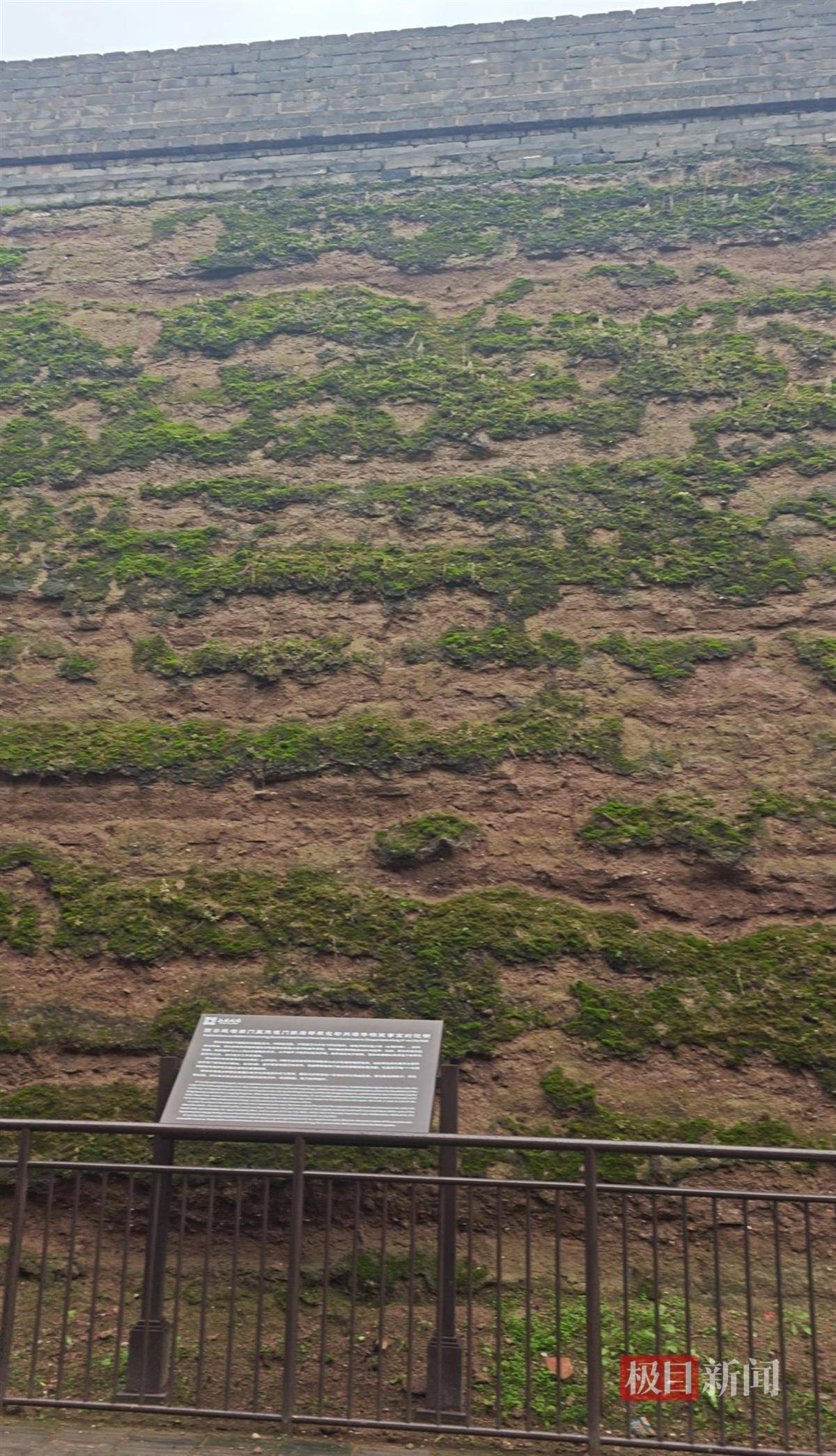 西安连续一个多月降雨遍地长蘑菇,大雁塔受潮,城墙布满青苔,气象局解释成因