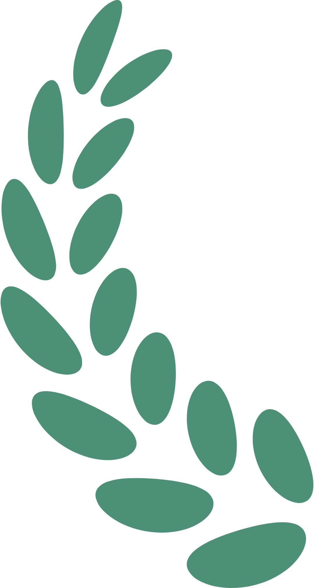 工作综述|奏响高质量发展的人才强音——“十四五”时期我国人才工作取得显著成效