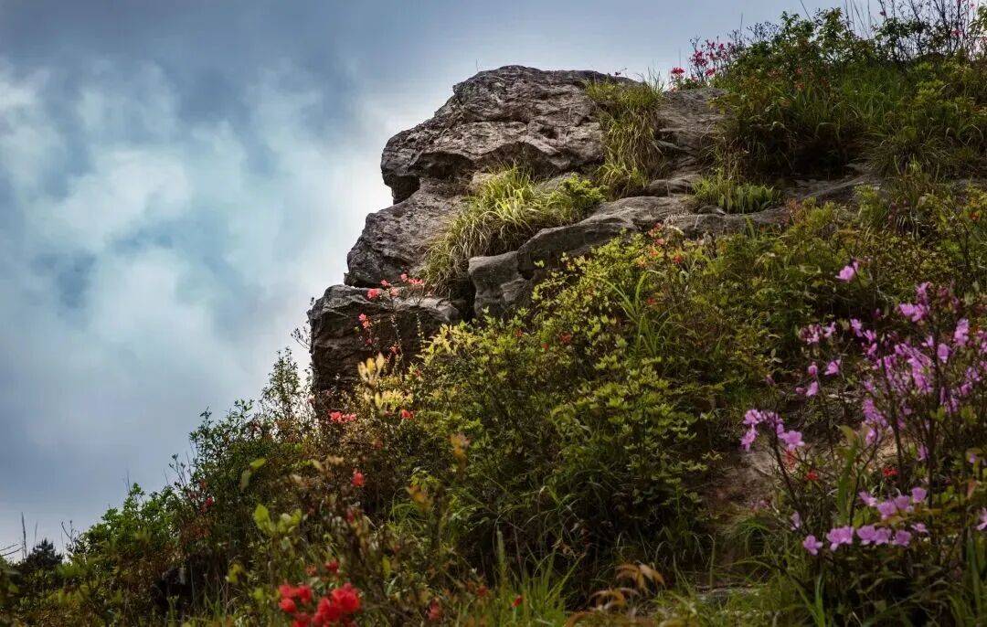 为什么年轻人迷上了爬山? | 秋高气爽,是时候出发了→