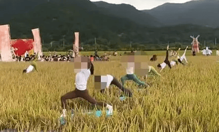 媒体：稻田开镰仪式，表演哪门子瑜伽？