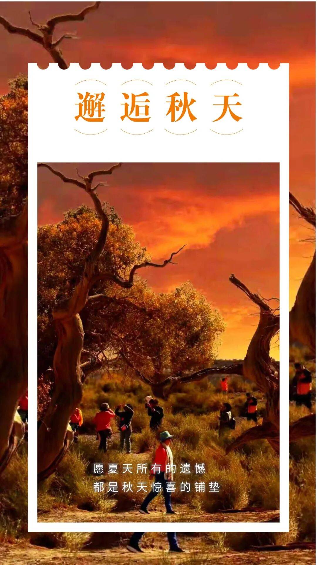 邂逅博州的秋天，从从容容游刃有余