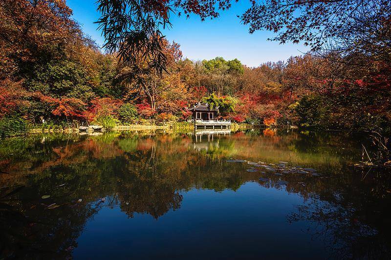 霜降已到,全国红叶上线中!这些“出片宝地”藏不住了