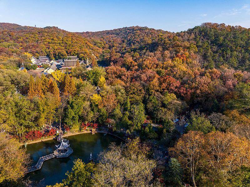霜降已到,全国红叶上线中!这些“出片宝地”藏不住了