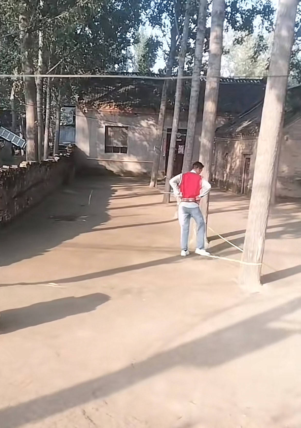 河南一大爷的院子因干净成网红打卡地，网友：像极了小时候家的样子，想拖鞋光脚丫子走