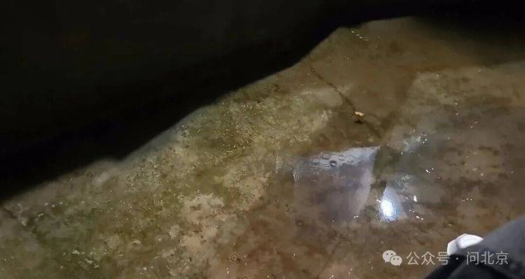 北京环球影城游客雨夜被“挂”半小时,赔一个猴子挂件?