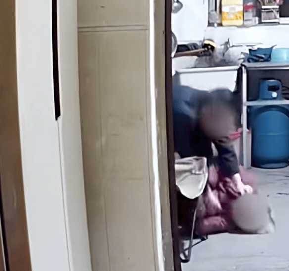 儿子杨某中,已被抓获