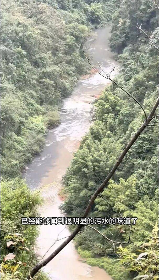 重庆通报：坚决查处，绝不姑息