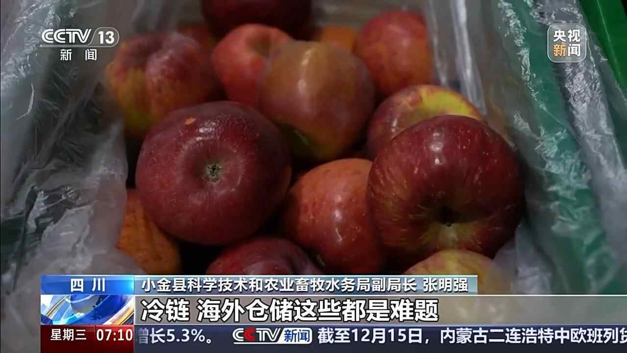 外贸一线观察丨缝制机成爆品 五金开拓非洲市场 “中国制造”走向全球